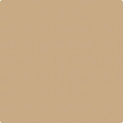 CSP-285 Camel Hair